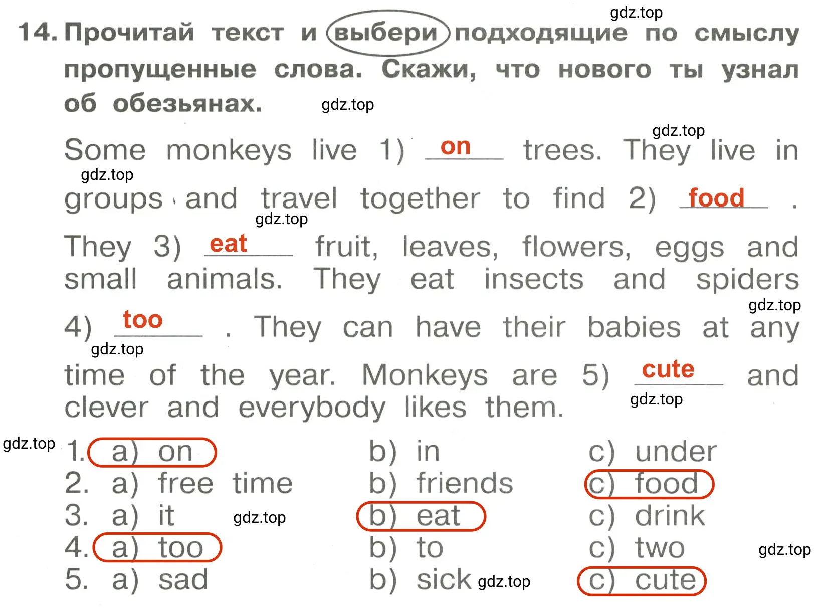 Решение 3. номер 14 (страница 74) гдз по английскому языку 4 класс Быкова, Поспелова, сборник упражнений