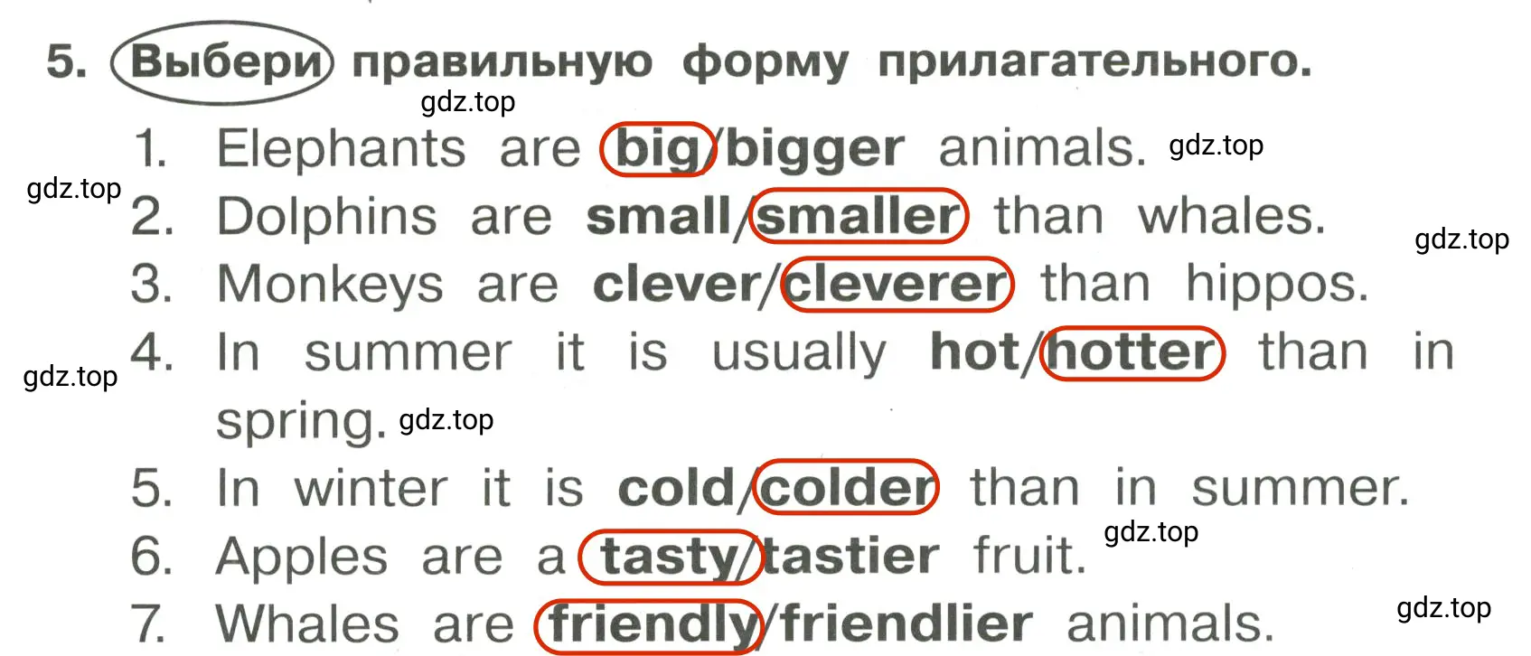 Решение 3. номер 5 (страница 69) гдз по английскому языку 4 класс Быкова, Поспелова, сборник упражнений