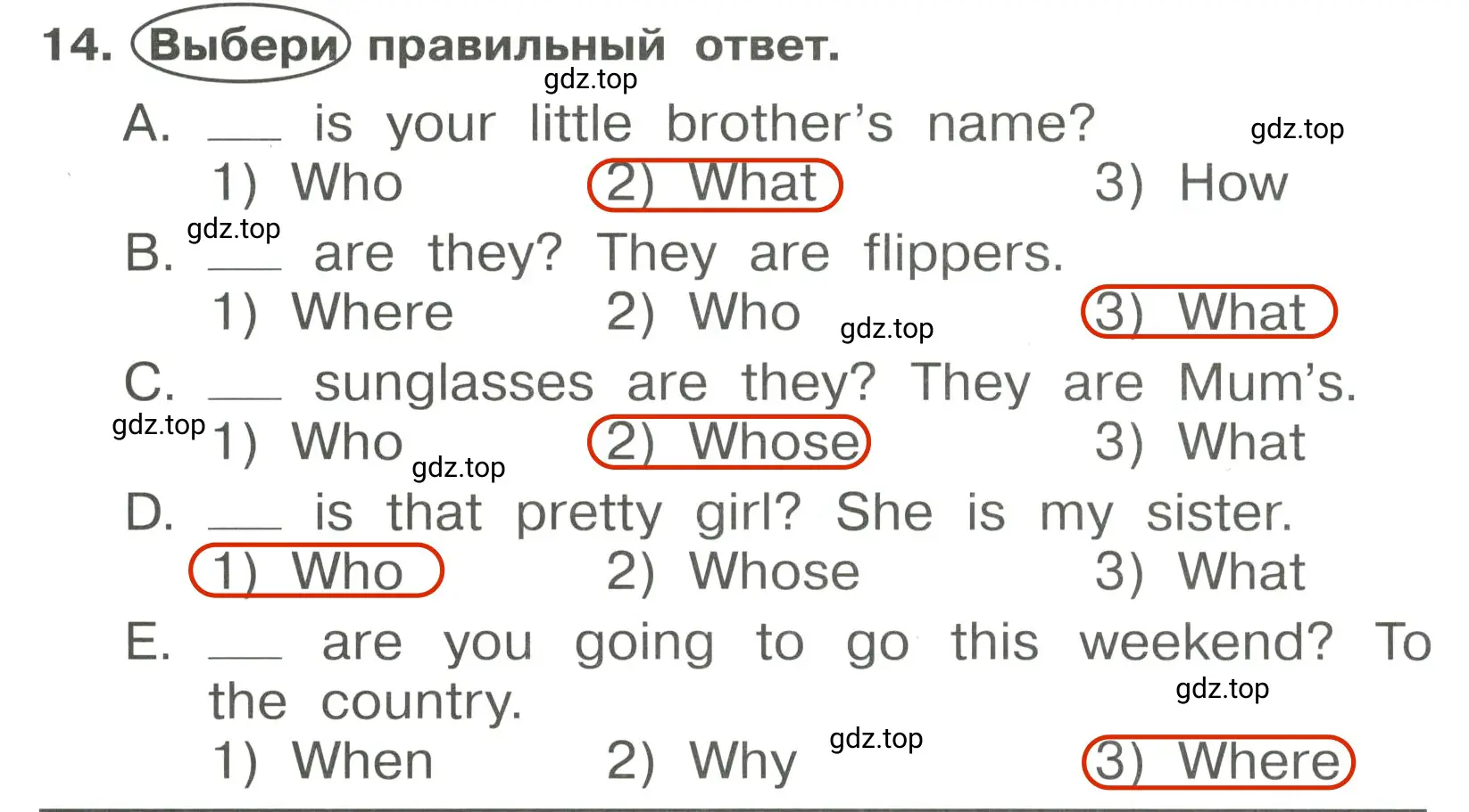 Решение 3. номер 14 (страница 134) гдз по английскому языку 4 класс Быкова, Поспелова, сборник упражнений