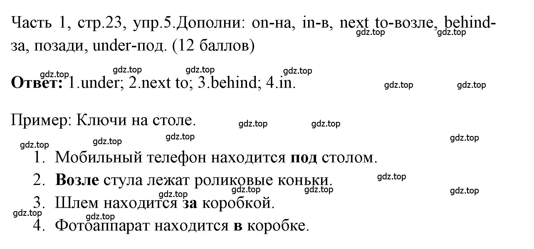 Решение номер 5 (страница 23) гдз по английскому языку 4 класс Быкова, Дули, учебник 1 часть