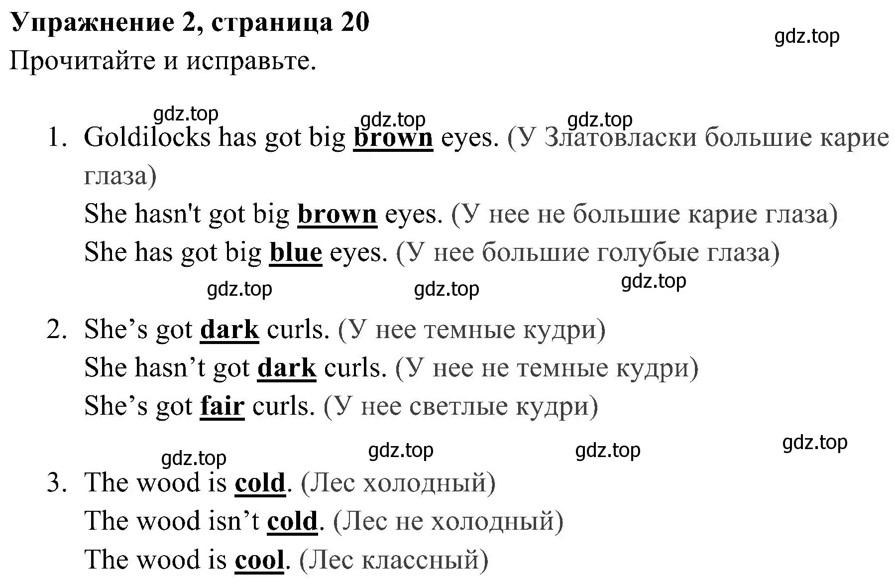 Решение 2. номер 2 (страница 20) гдз по английскому языку 4 класс Быкова, Дули, учебник 1 часть