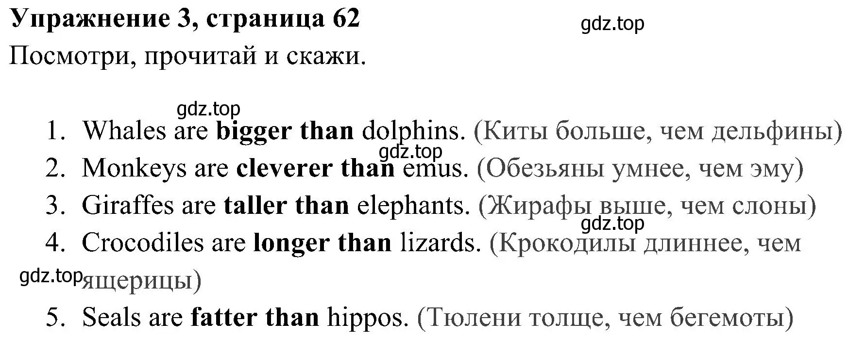 Решение 2. номер 3 (страница 62) гдз по английскому языку 4 класс Быкова, Дули, учебник 1 часть