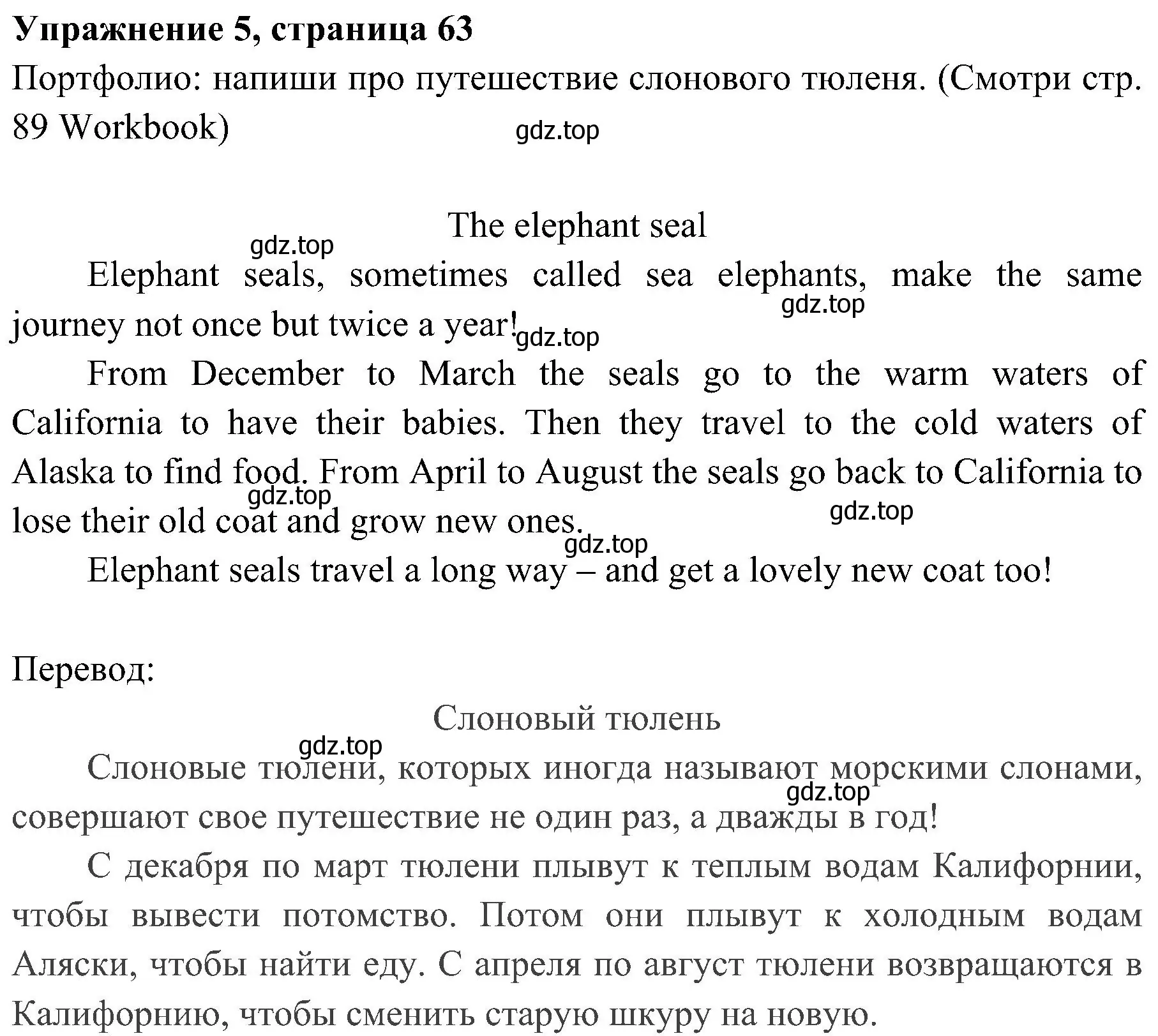 Решение 2. номер 5 (страница 63) гдз по английскому языку 4 класс Быкова, Дули, учебник 1 часть