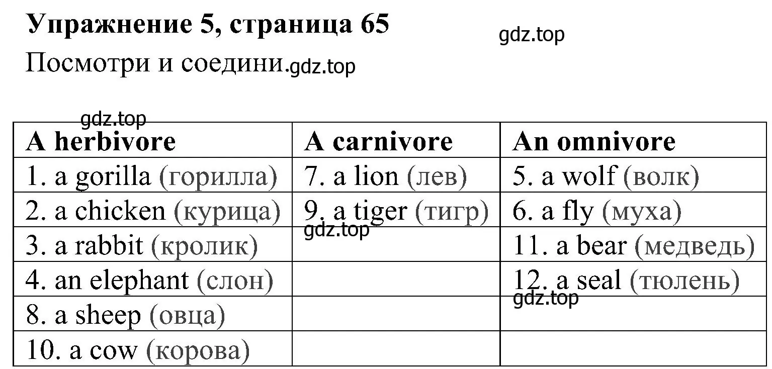 Решение 2. номер 5 (страница 65) гдз по английскому языку 4 класс Быкова, Дули, учебник 1 часть