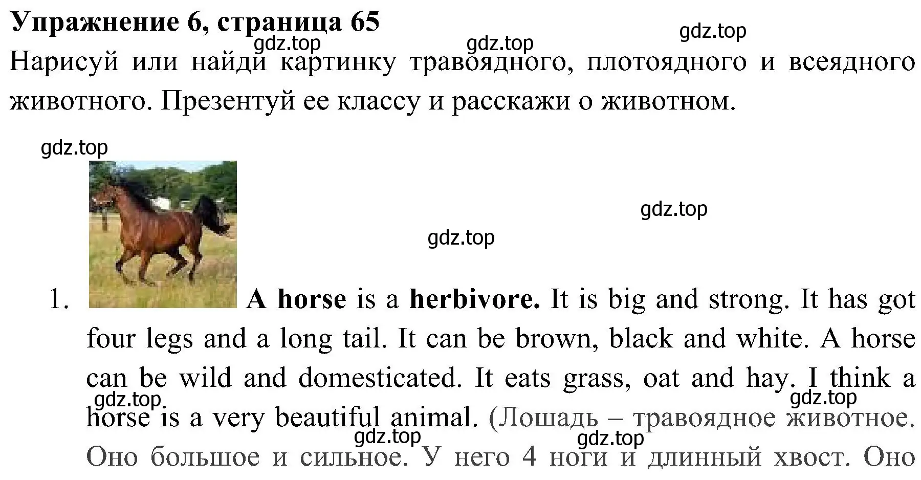 Решение 2. номер 6 (страница 65) гдз по английскому языку 4 класс Быкова, Дули, учебник 1 часть