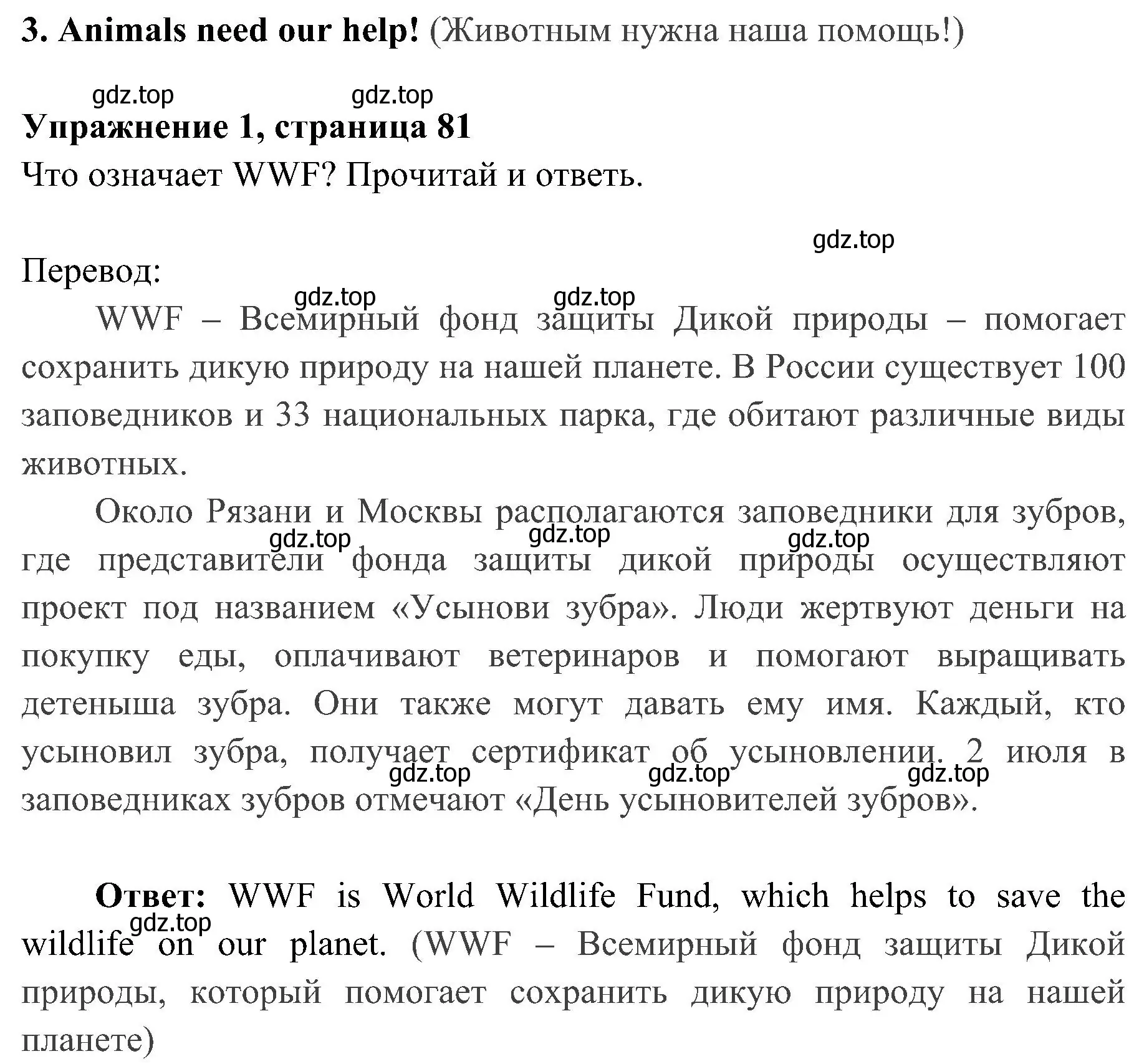 Решение 2. номер 1 (страница 81) гдз по английскому языку 4 класс Быкова, Дули, учебник 1 часть