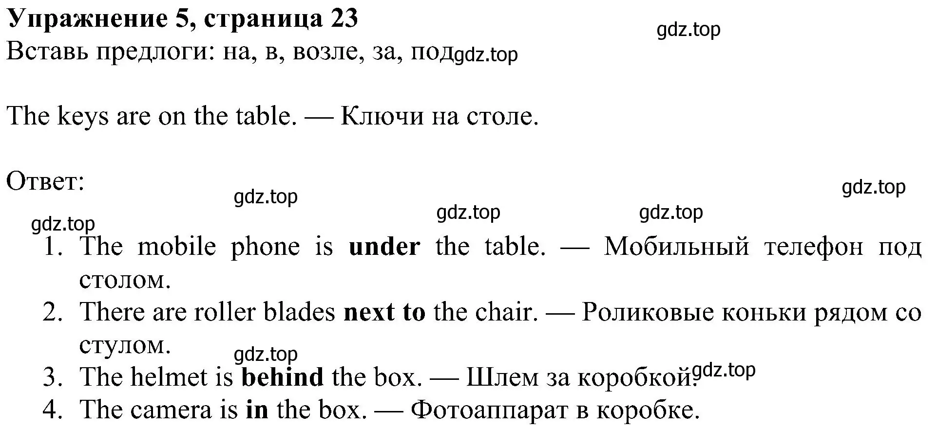 Решение 3. номер 5 (страница 23) гдз по английскому языку 4 класс Быкова, Дули, учебник 1 часть