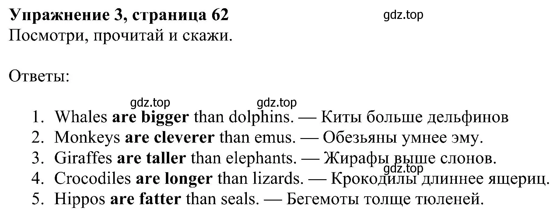 Решение 3. номер 3 (страница 62) гдз по английскому языку 4 класс Быкова, Дули, учебник 1 часть