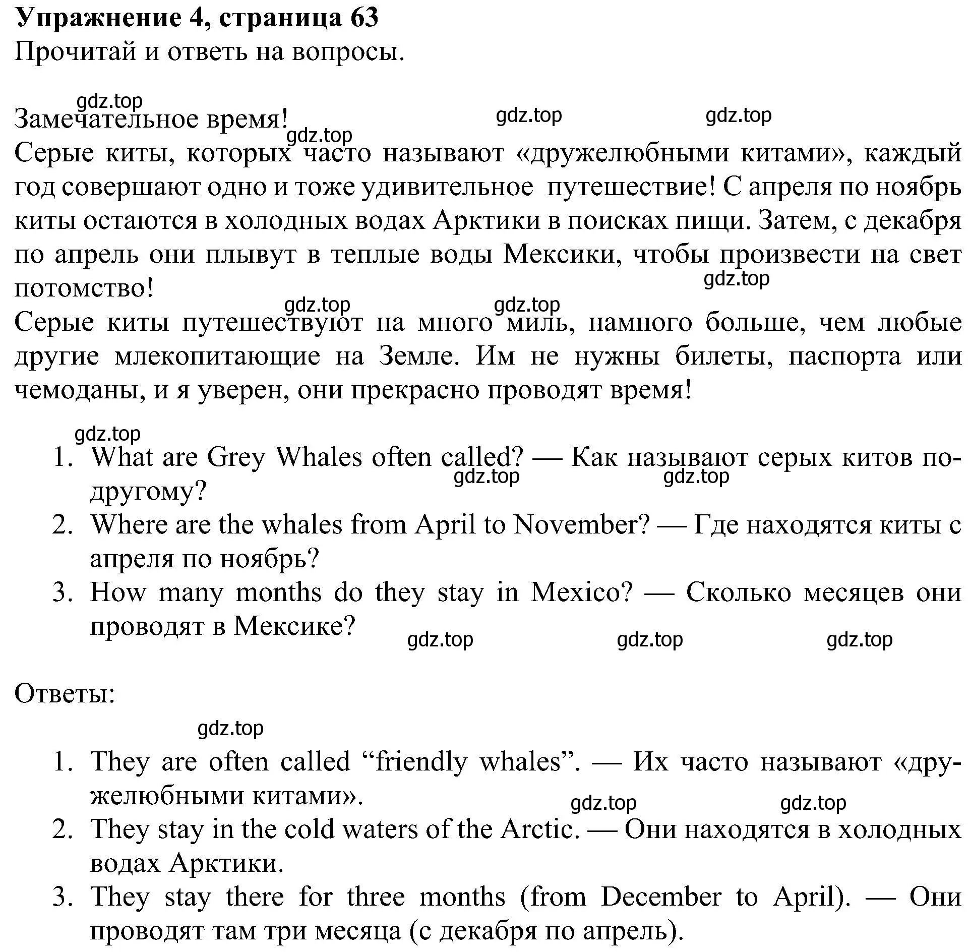 Решение 3. номер 4 (страница 63) гдз по английскому языку 4 класс Быкова, Дули, учебник 1 часть