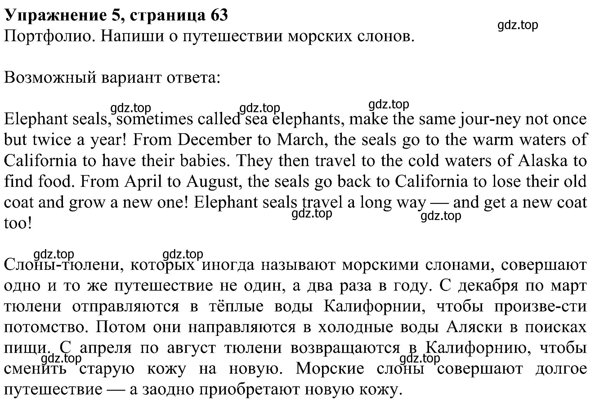 Решение 3. номер 5 (страница 63) гдз по английскому языку 4 класс Быкова, Дули, учебник 1 часть