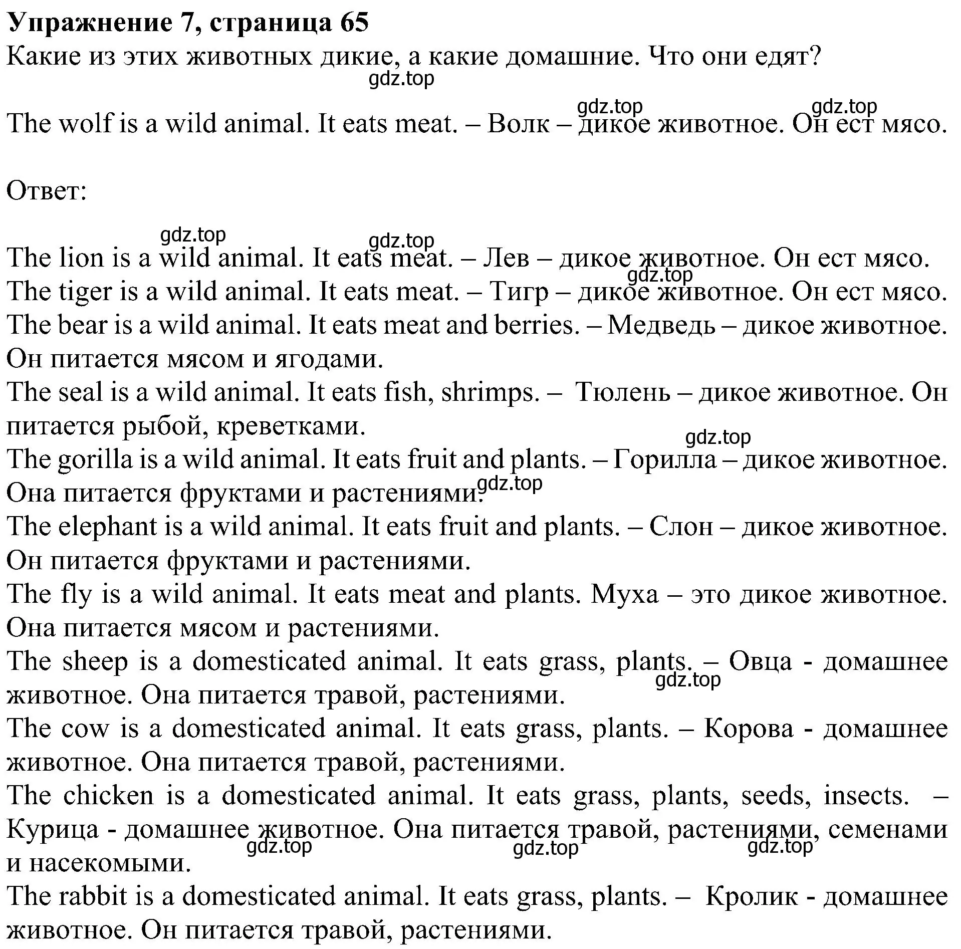 Решение 3. номер 7 (страница 65) гдз по английскому языку 4 класс Быкова, Дули, учебник 1 часть