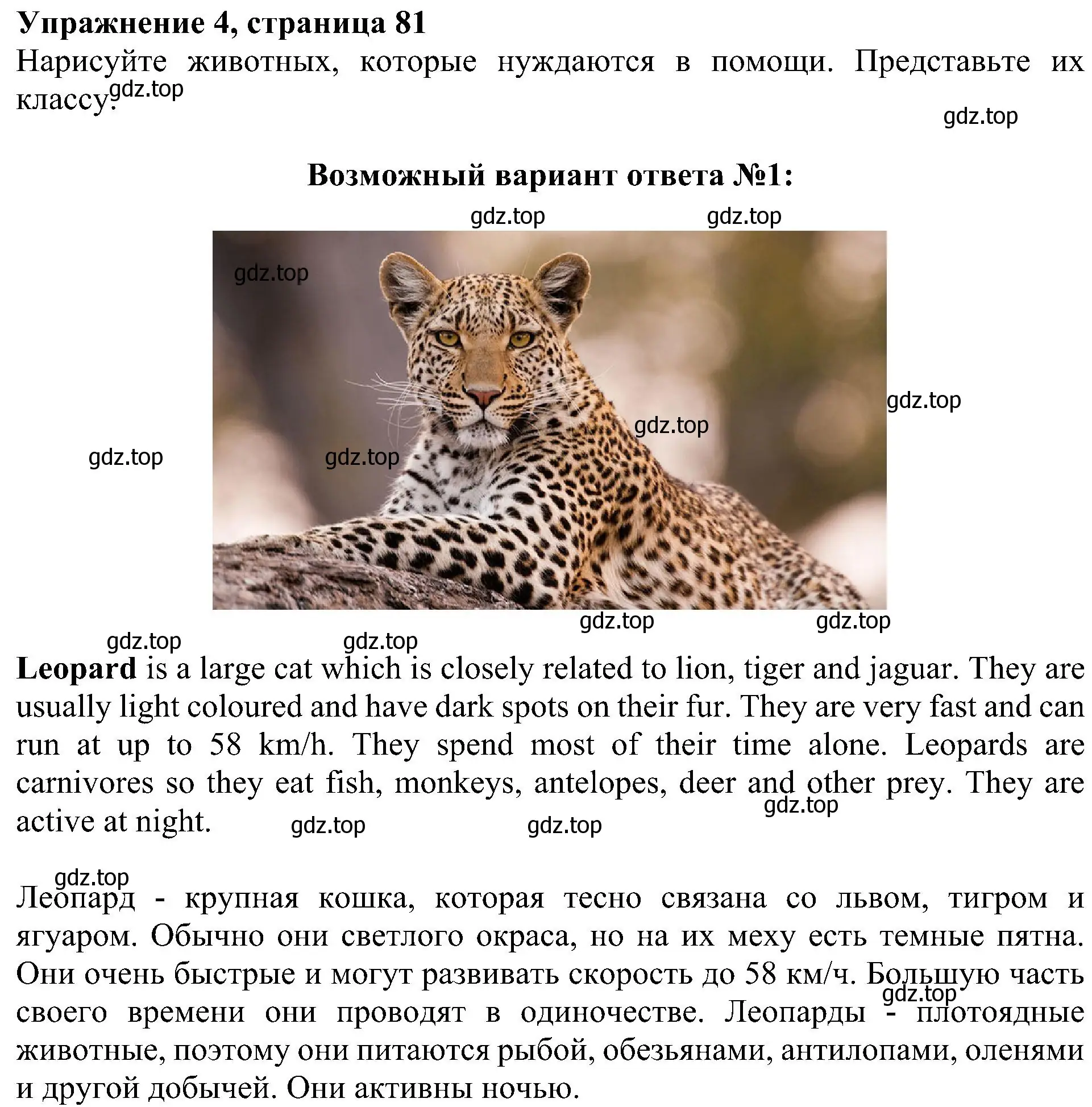 Решение 3. номер 4 (страница 81) гдз по английскому языку 4 класс Быкова, Дули, учебник 1 часть