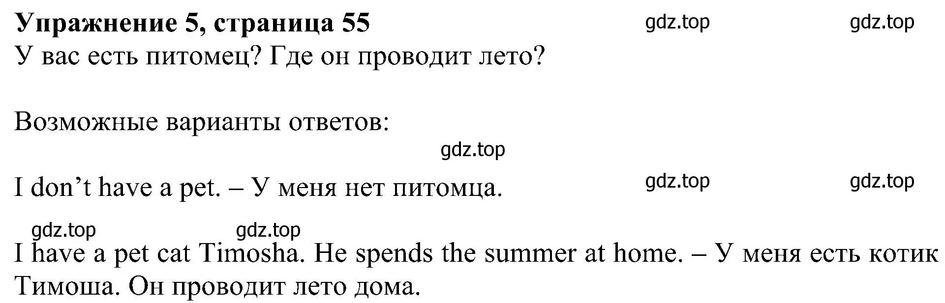 Решение 3. номер 5 (страница 55) гдз по английскому языку 4 класс Быкова, Дули, учебник 2 часть