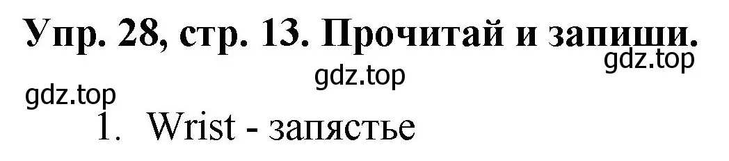 Решение номер 28 (страница 13) гдз по английскому языку 4 класс Комарова, Ларионова, рабочая тетрадь