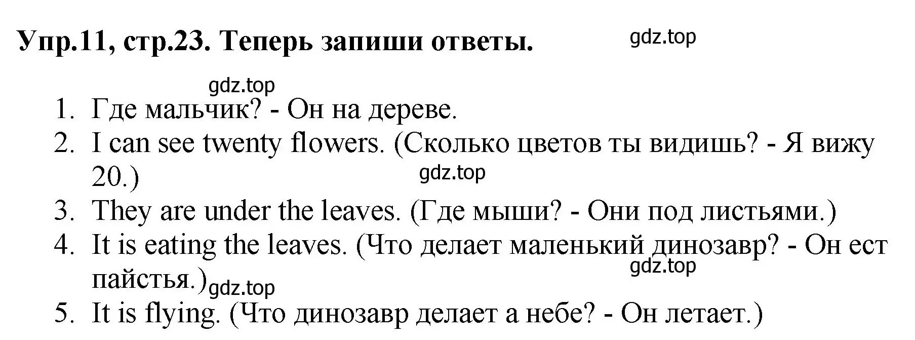 Решение номер 11 (страница 23) гдз по английскому языку 4 класс Комарова, Ларионова, рабочая тетрадь