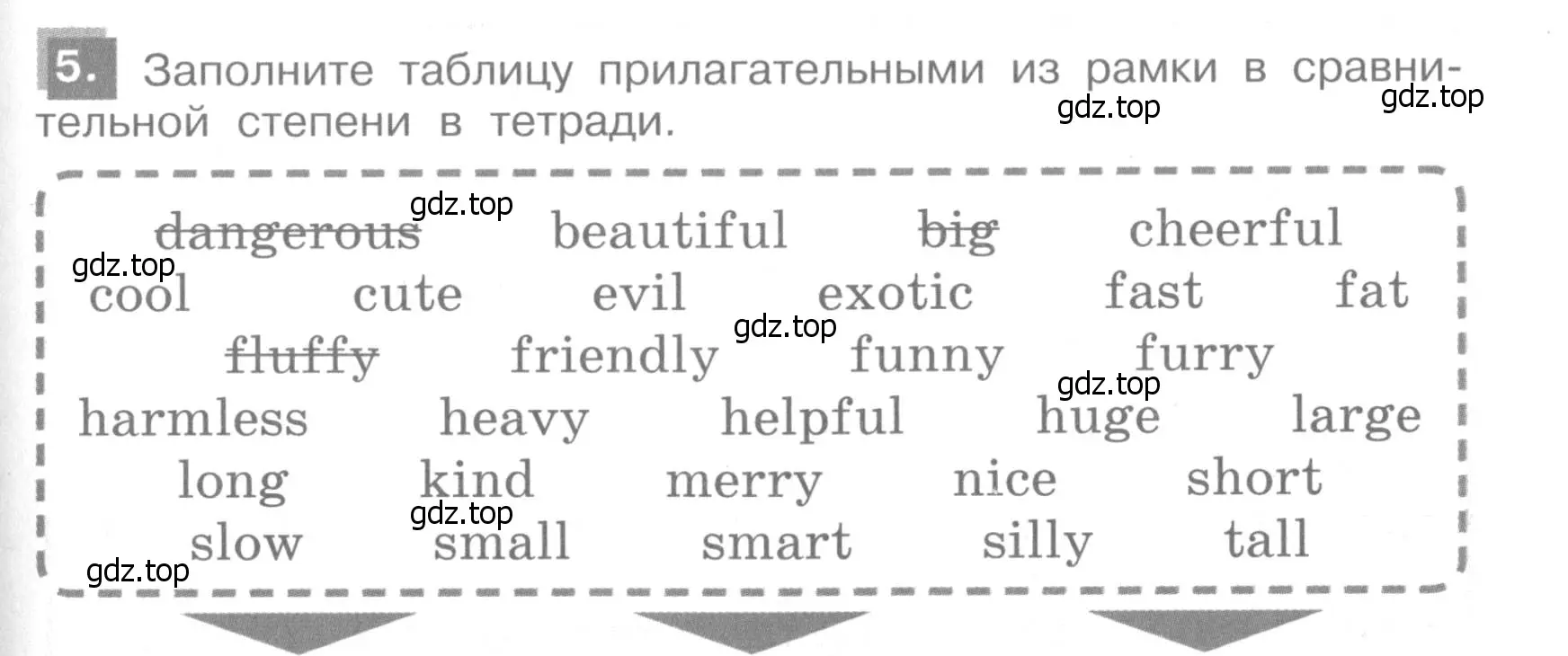 Условие номер 5 (страница 19) гдз по английскому языку 4 класс Кузовлев, Пастухова, грамматический справочник