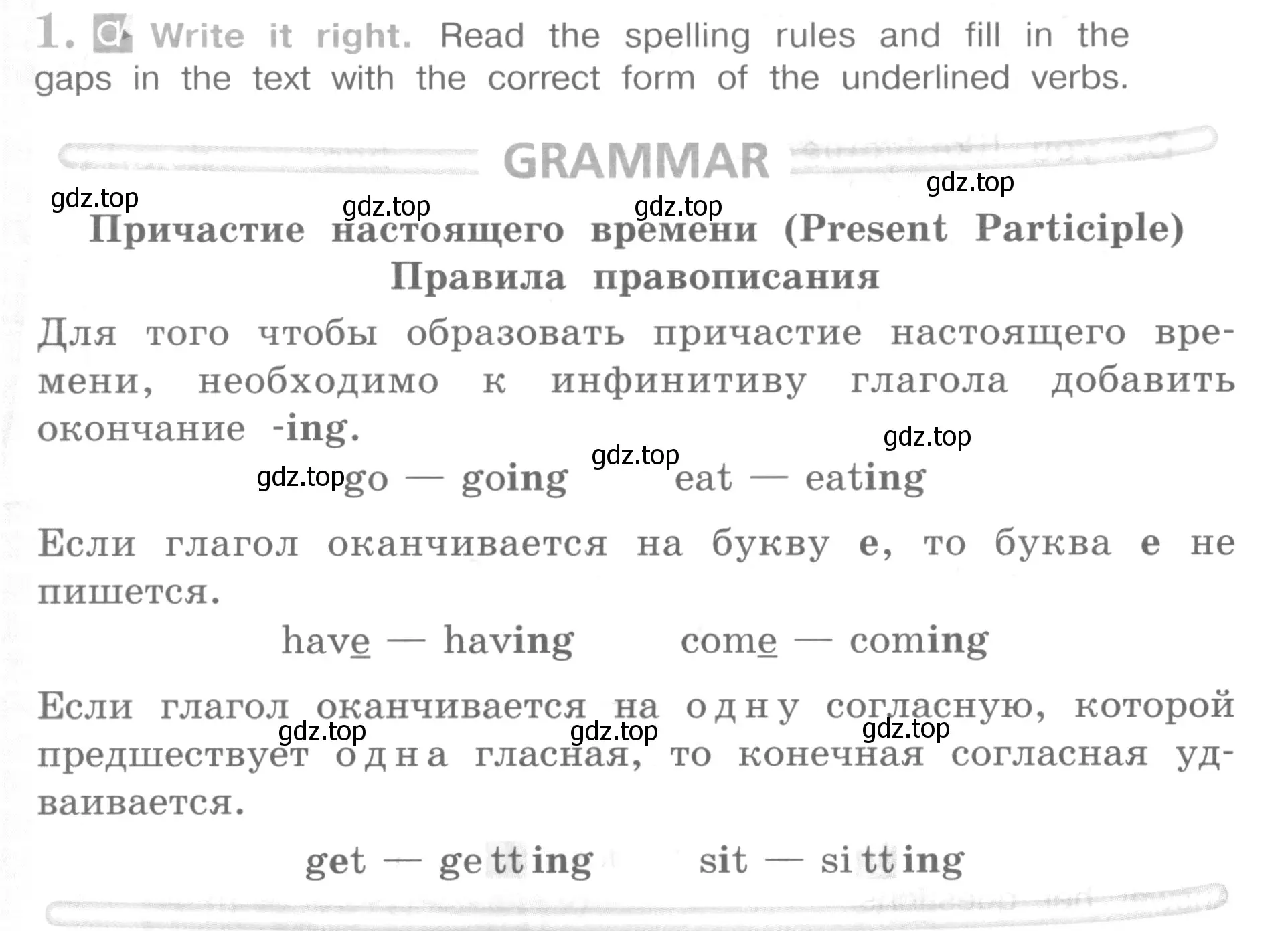 Условие номер 1 (страница 36) гдз по английскому языку 4 класс Кузовлев, Перегудова, рабочая тетрадь