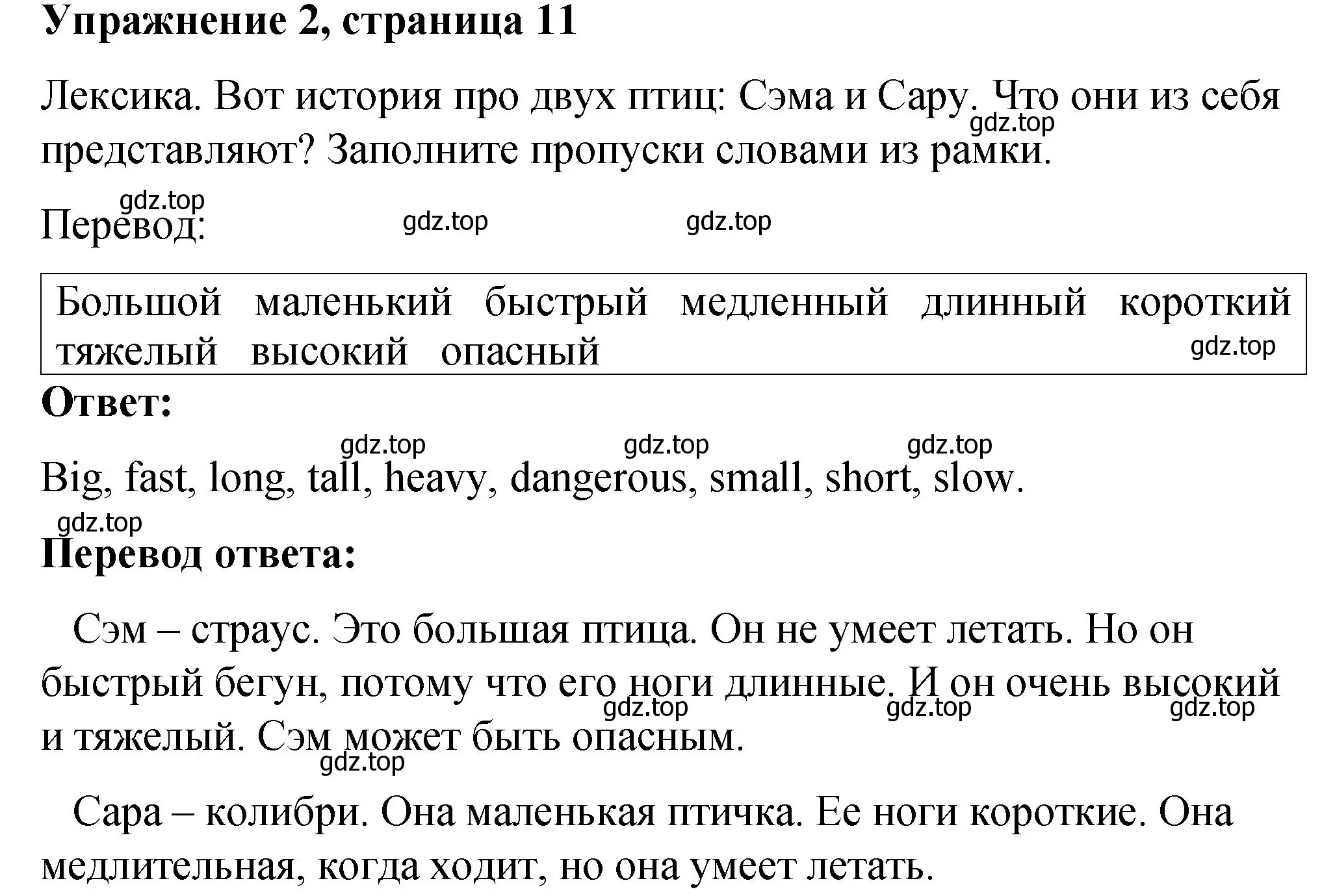 Решение номер 2 (страница 11) гдз по английскому языку 4 класс Кузовлев, Перегудова, рабочая тетрадь