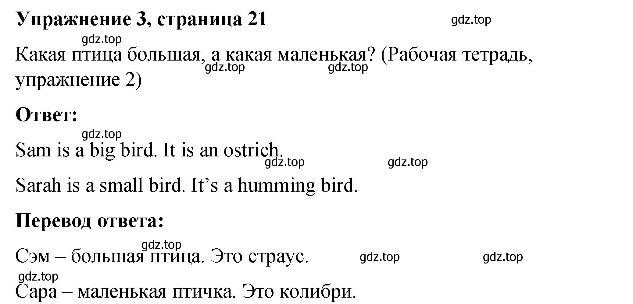 Решение номер 3 (страница 21) гдз по английскому языку 4 класс Кузовлев, учебник 1 часть