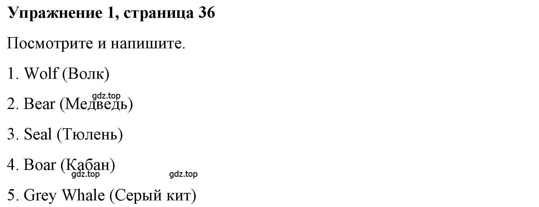 Решение номер 1 (страница 36) гдз по английскому языку 4 класс Покидова, Авел, рабочая тетрадь