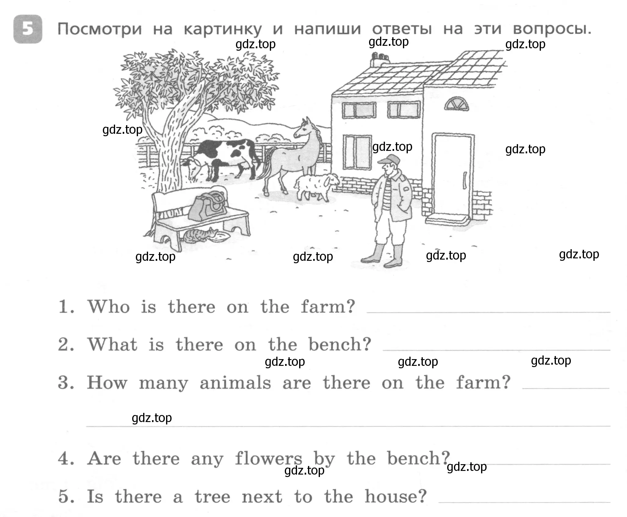 Условие номер 5 (страница 36) гдз по английскому языку 4 класс Афанасьева, Михеева, контрольные работы