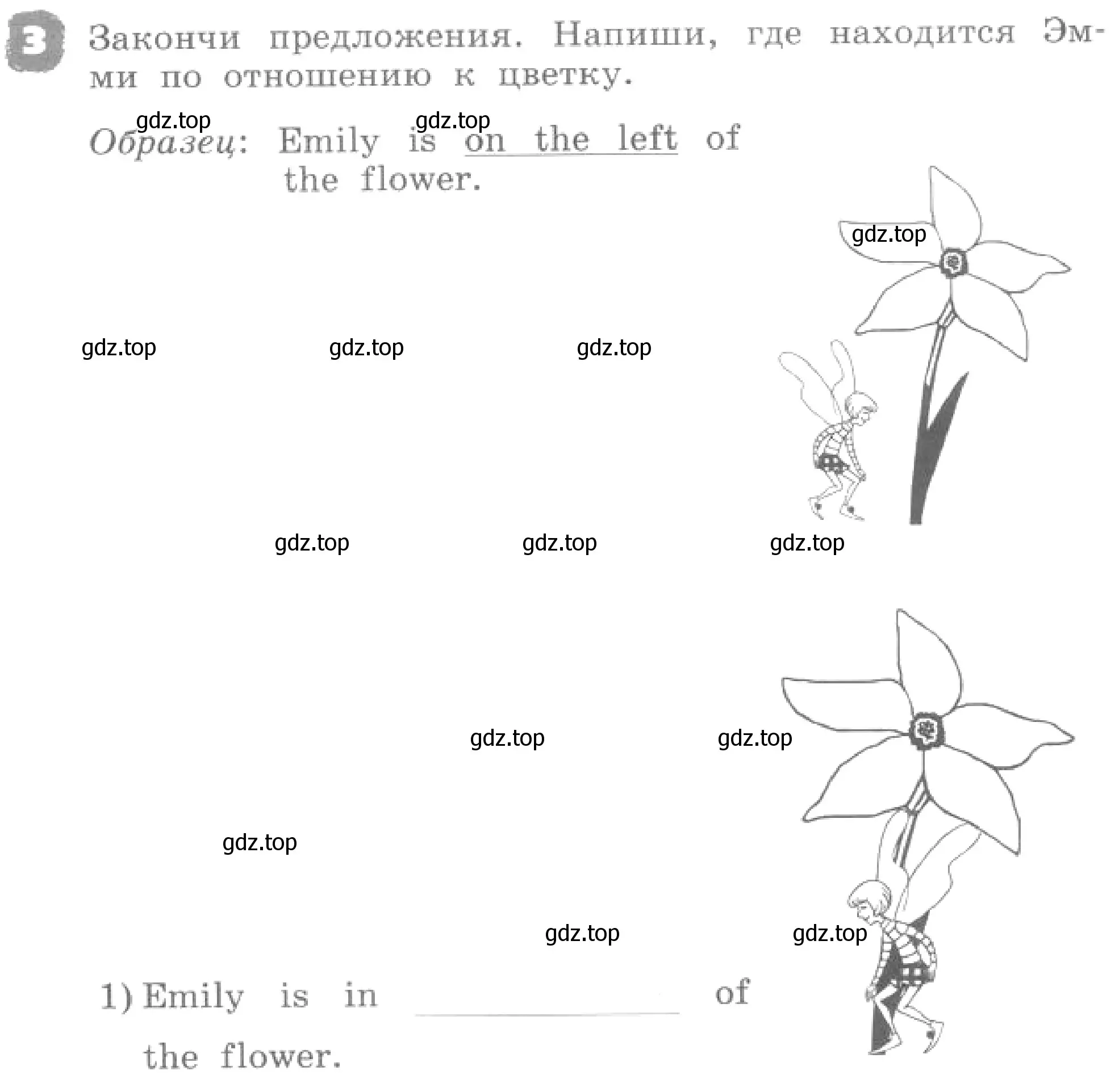 Условие номер 3 (страница 44) гдз по английскому языку 4 класс Афанасьева, Михеева, рабочая тетрадь