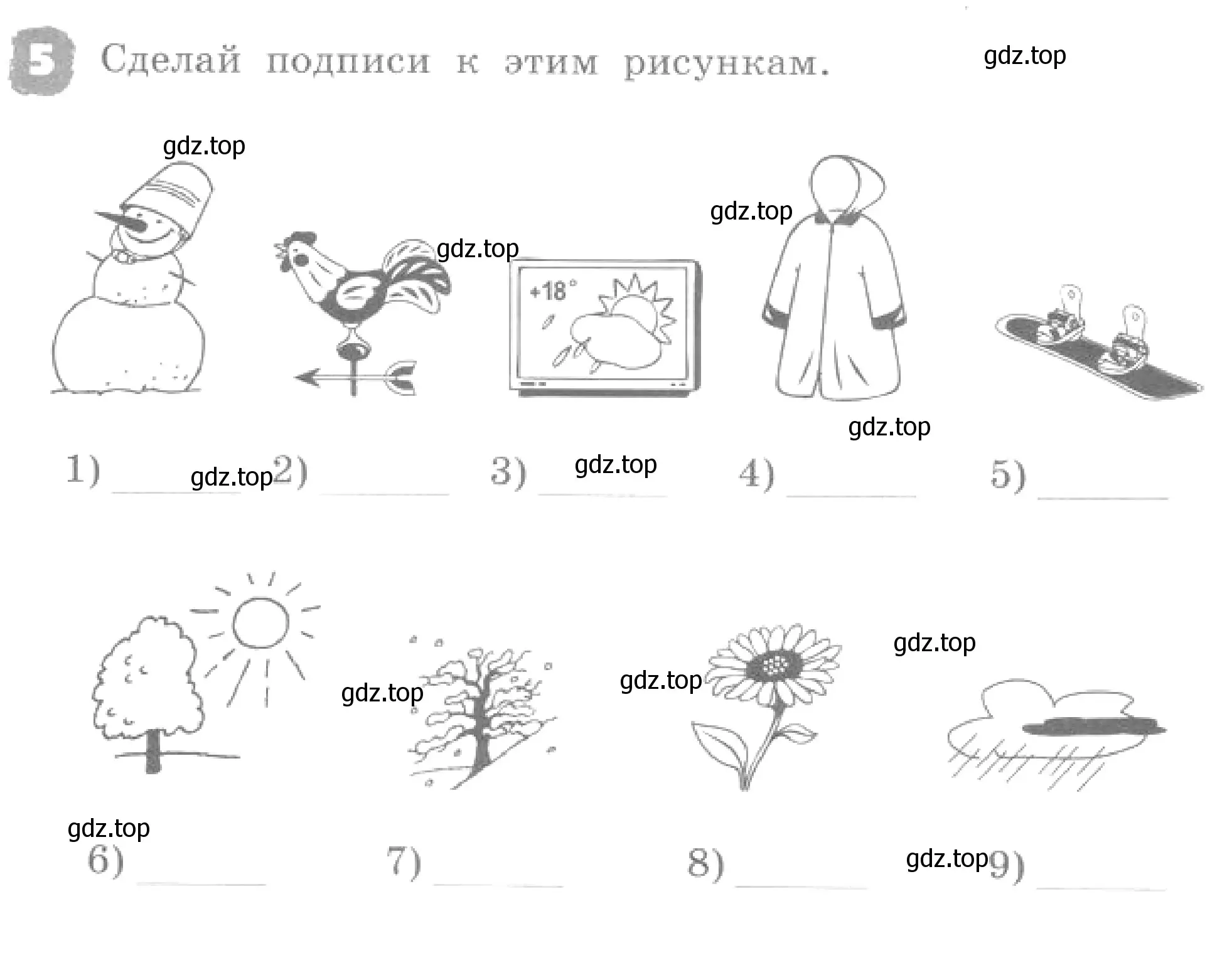 Условие номер 5 (страница 102) гдз по английскому языку 4 класс Афанасьева, Михеева, рабочая тетрадь