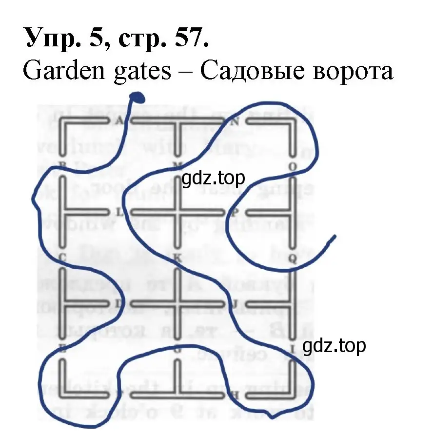 Решение номер 5 (страница 57) гдз по английскому языку 4 класс Афанасьева, Михеева, рабочая тетрадь