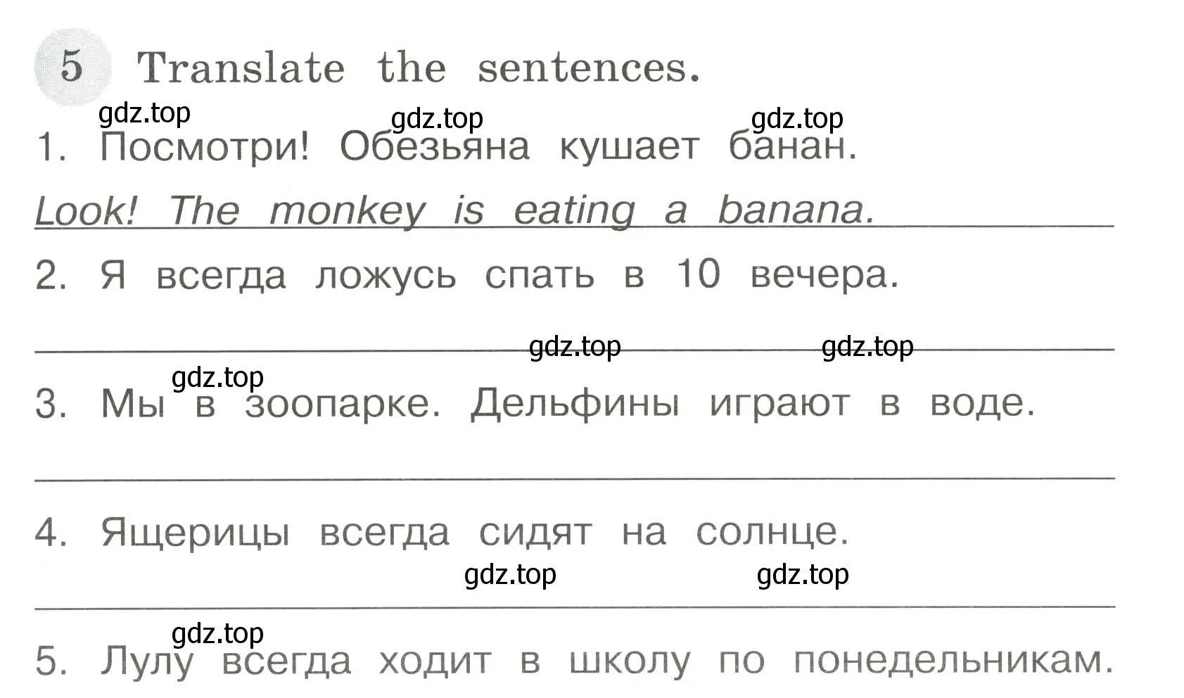 Условие номер 5 (страница 51) гдз по английскому языку 4 класс Юшина, грамматический тренажёр