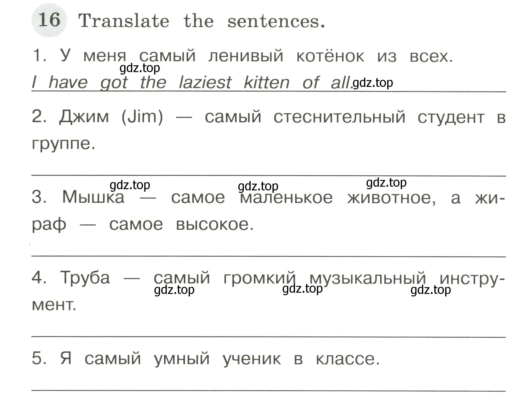 Условие номер 16 (страница 108) гдз по английскому языку 4 класс Юшина, грамматический тренажёр