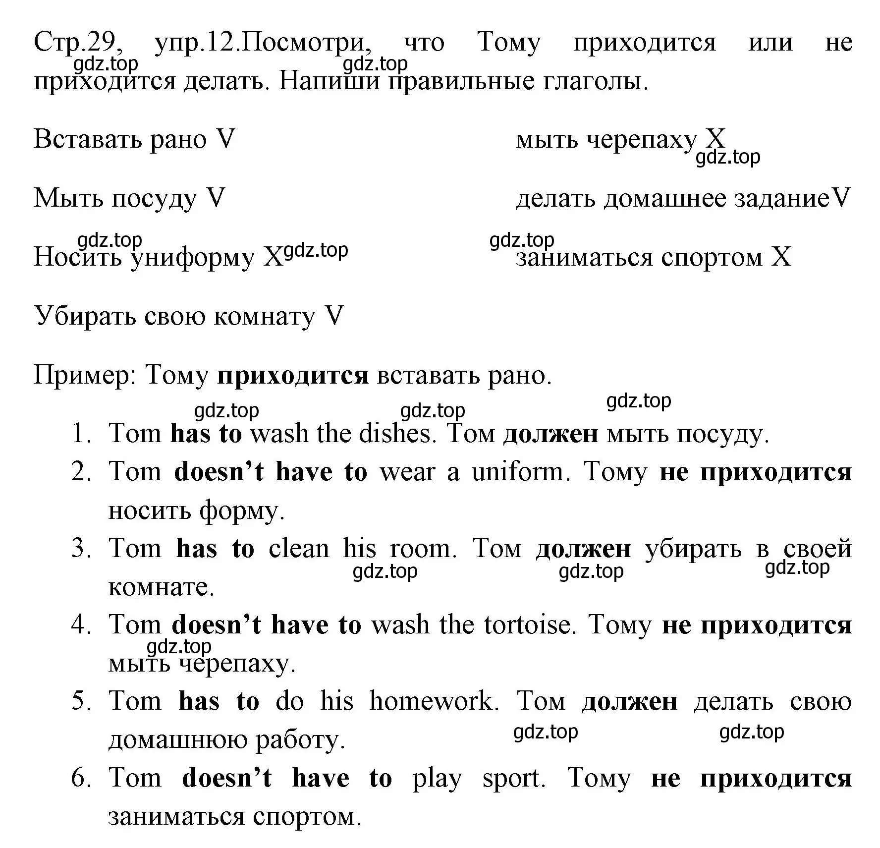 Решение номер 12 (страница 29) гдз по английскому языку 4 класс Юшина, грамматический тренажёр