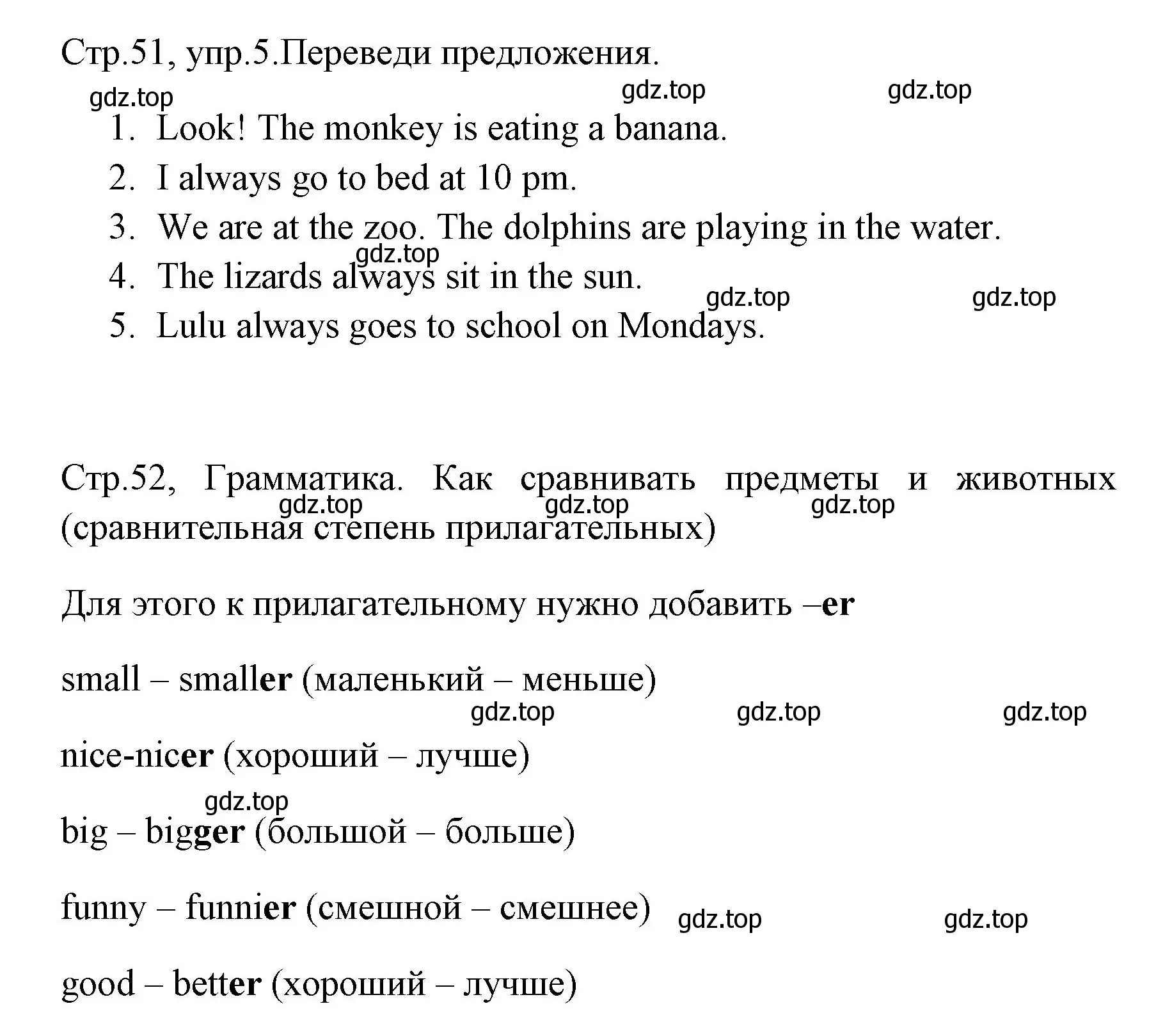 Решение номер 5 (страница 51) гдз по английскому языку 4 класс Юшина, грамматический тренажёр