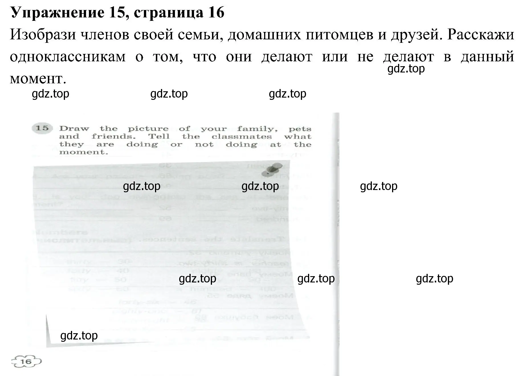 Решение 2. номер 15 (страница 16) гдз по английскому языку 4 класс Юшина, грамматический тренажёр