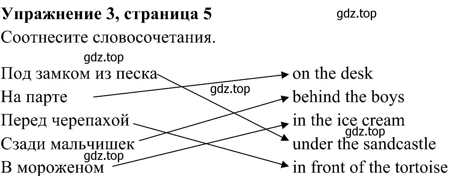 Решение 2. номер 3 (страница 5) гдз по английскому языку 4 класс Юшина, грамматический тренажёр