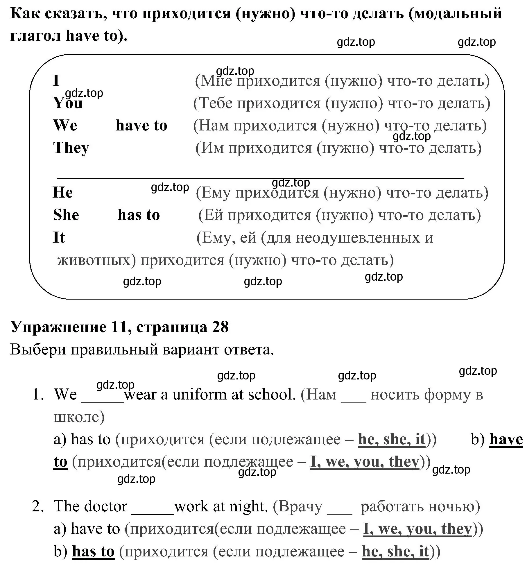 Решение 2. номер 11 (страница 28) гдз по английскому языку 4 класс Юшина, грамматический тренажёр