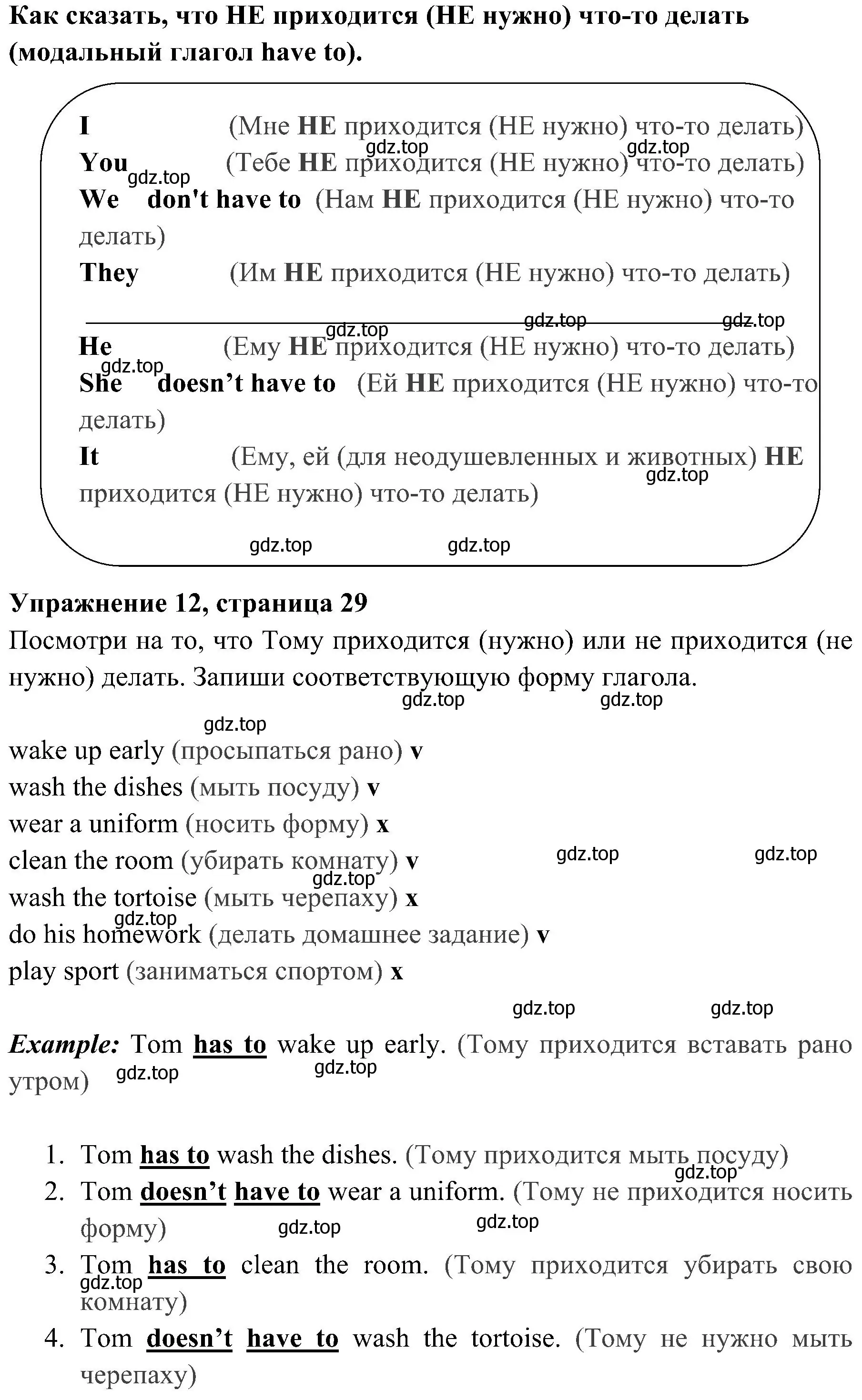 Решение 2. номер 12 (страница 29) гдз по английскому языку 4 класс Юшина, грамматический тренажёр