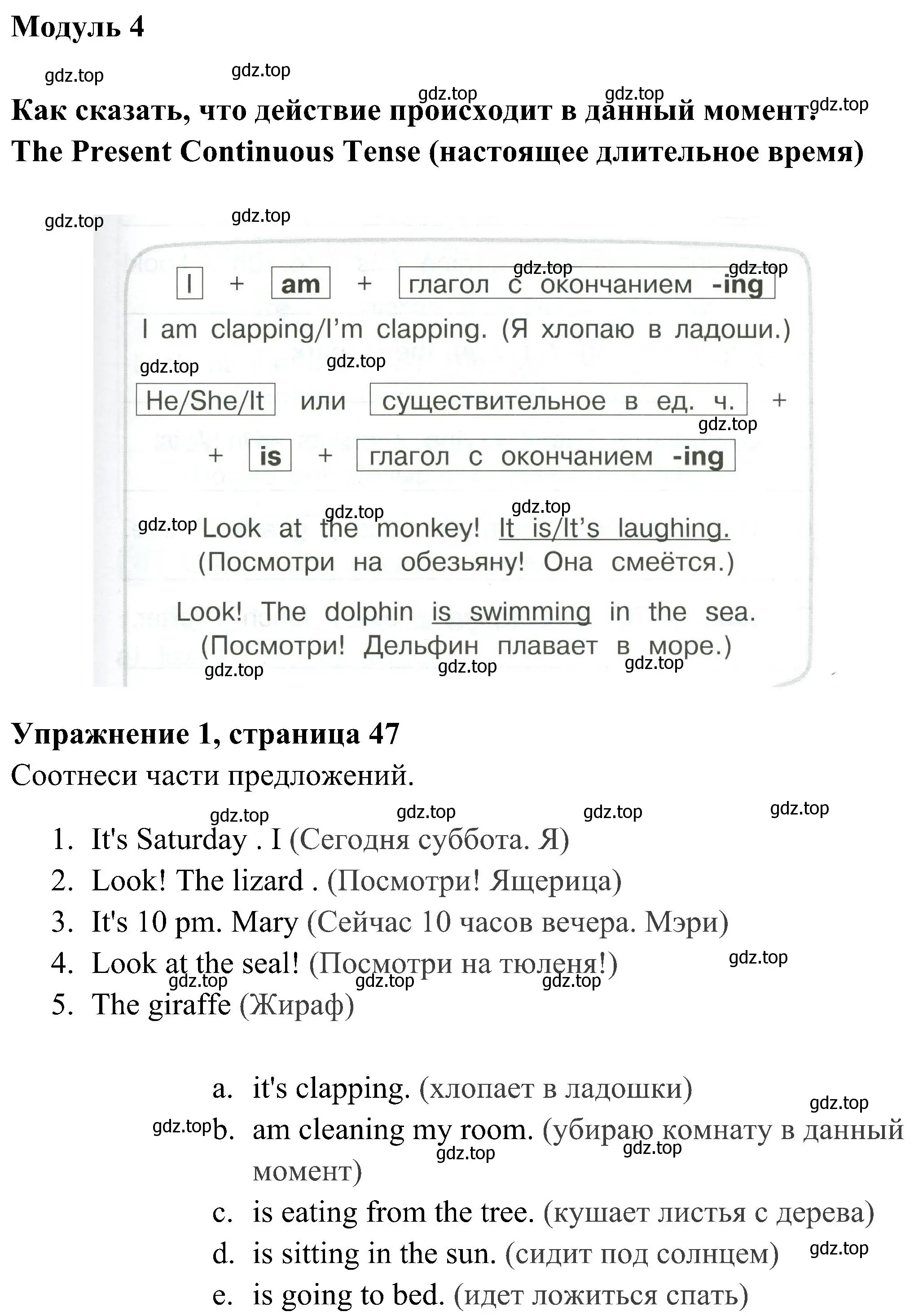 Решение 2. номер 1 (страница 47) гдз по английскому языку 4 класс Юшина, грамматический тренажёр