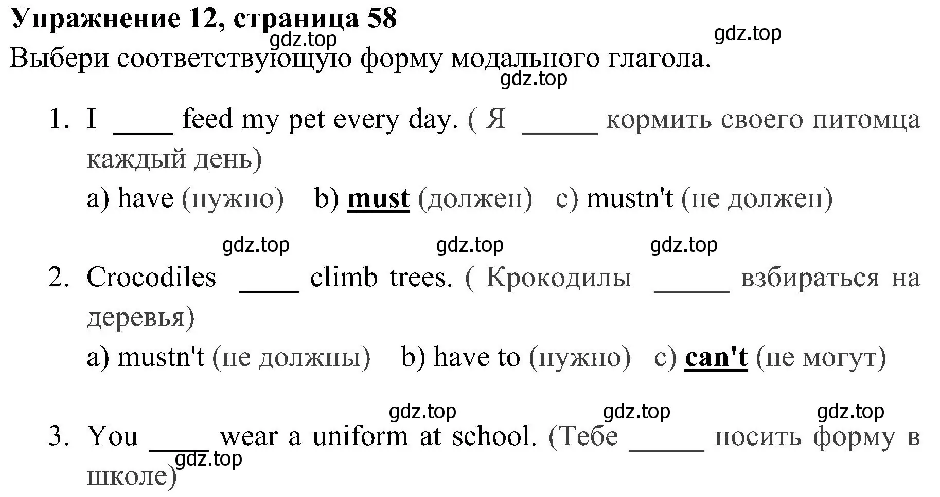 Решение 2. номер 12 (страница 58) гдз по английскому языку 4 класс Юшина, грамматический тренажёр