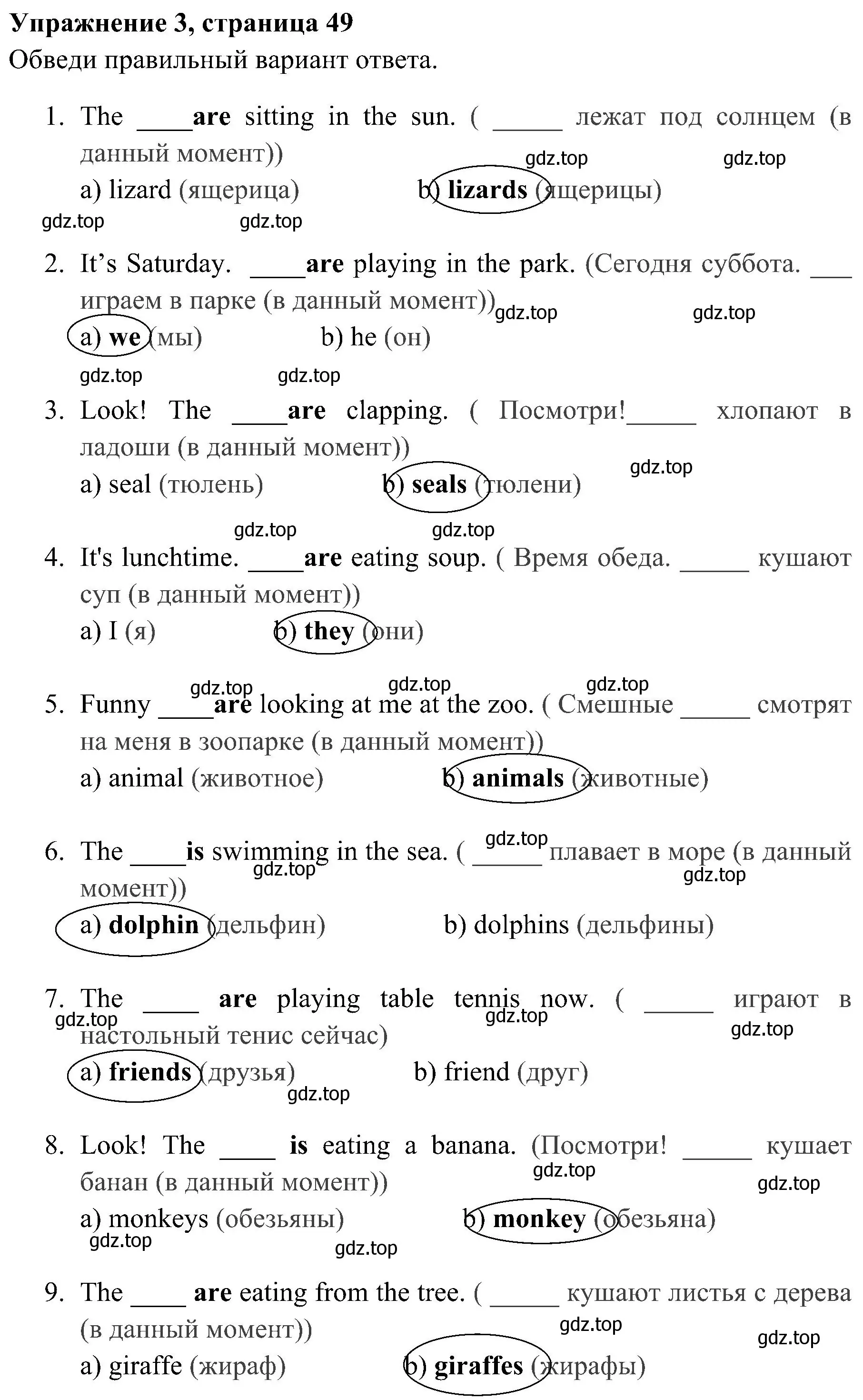 Решение 2. номер 3 (страница 49) гдз по английскому языку 4 класс Юшина, грамматический тренажёр