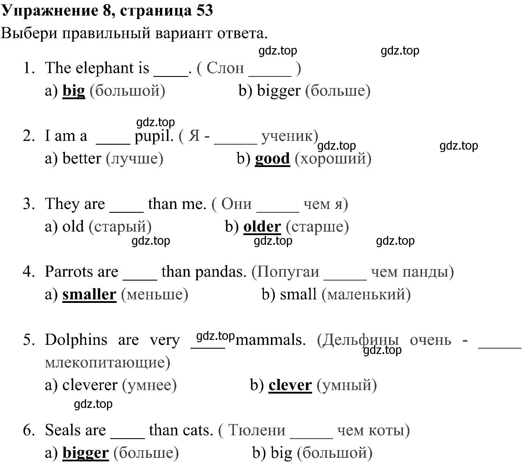 Решение 2. номер 8 (страница 53) гдз по английскому языку 4 класс Юшина, грамматический тренажёр