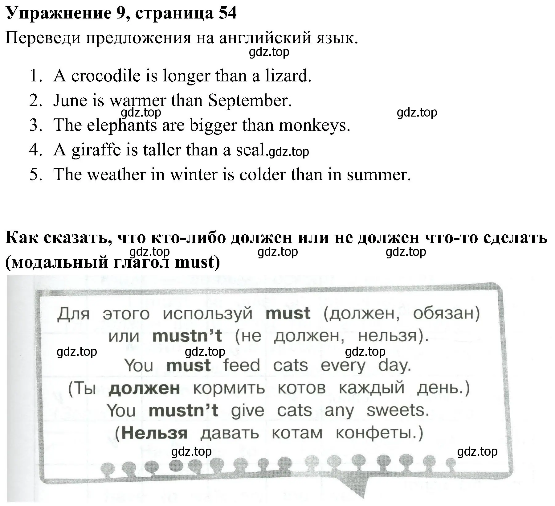 Решение 2. номер 9 (страница 54) гдз по английскому языку 4 класс Юшина, грамматический тренажёр