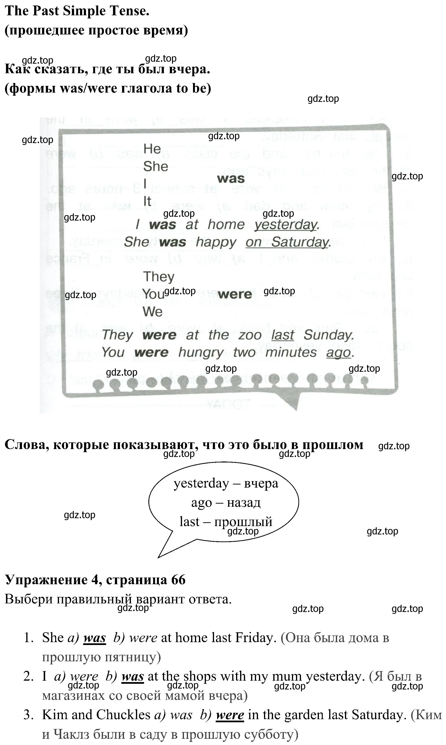 Решение 2. номер 4 (страница 66) гдз по английскому языку 4 класс Юшина, грамматический тренажёр