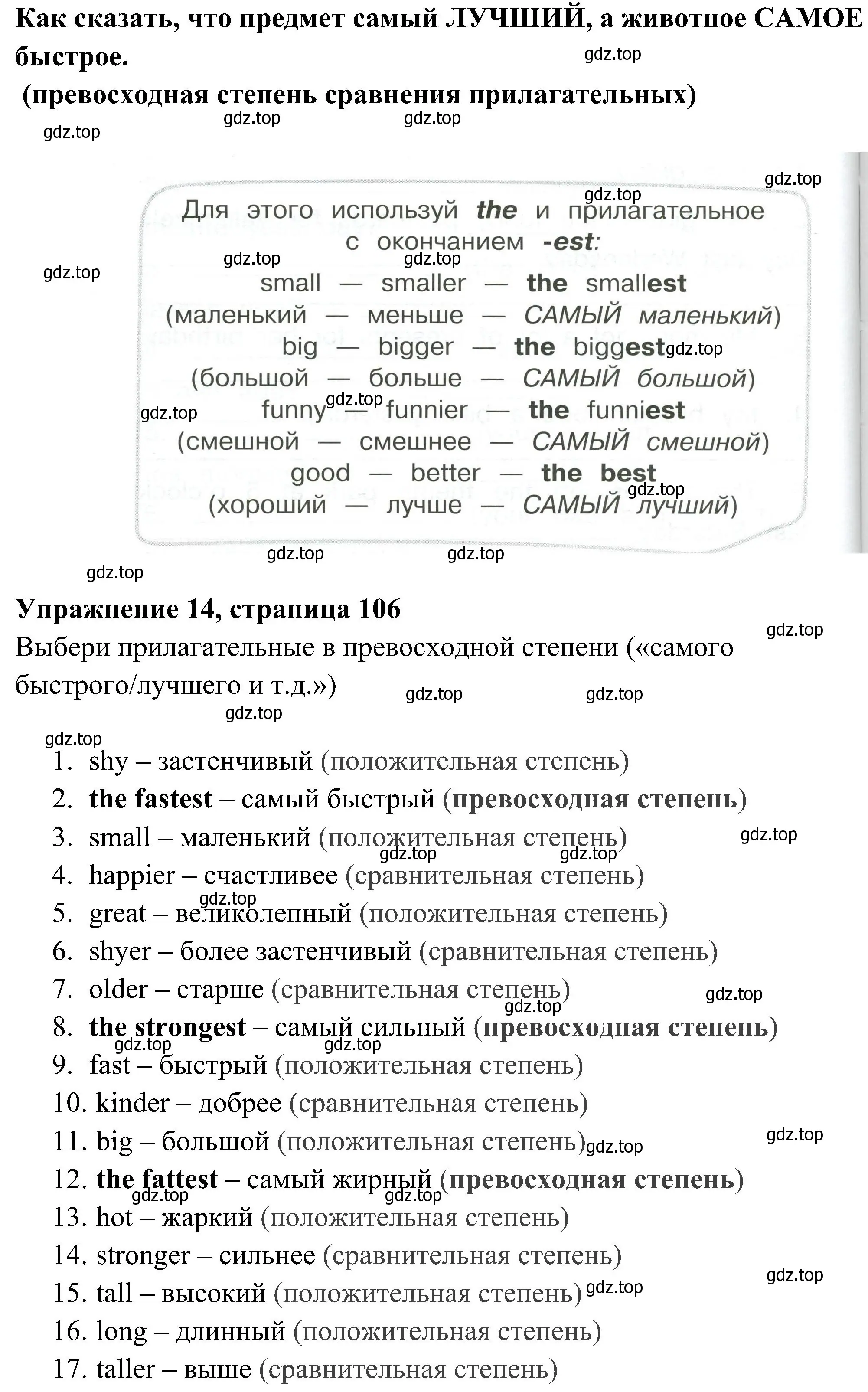 Решение 2. номер 14 (страница 106) гдз по английскому языку 4 класс Юшина, грамматический тренажёр