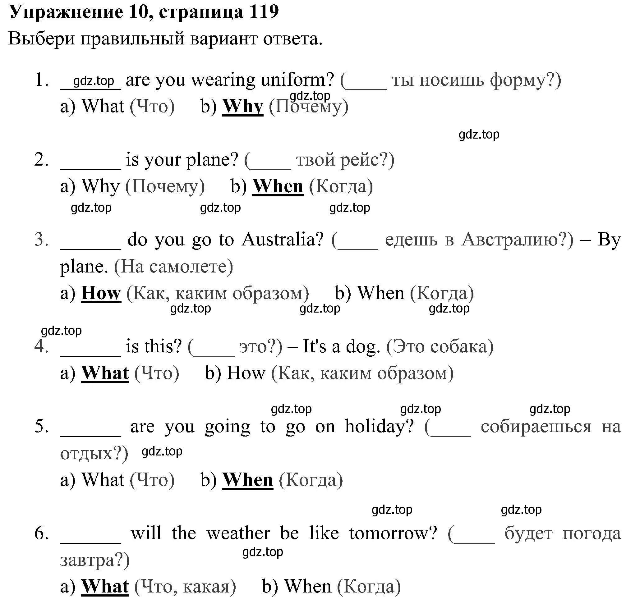 Решение 2. номер 10 (страница 119) гдз по английскому языку 4 класс Юшина, грамматический тренажёр