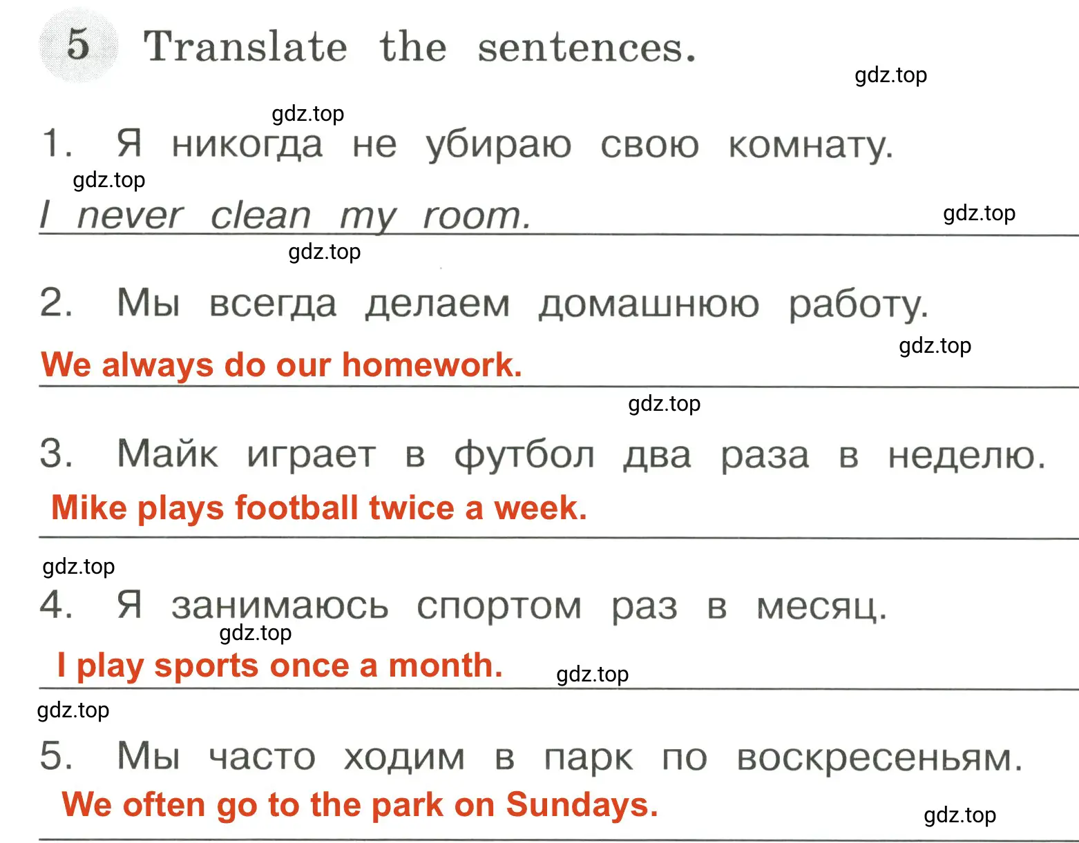 Решение 3. номер 5 (страница 22) гдз по английскому языку 4 класс Юшина, грамматический тренажёр