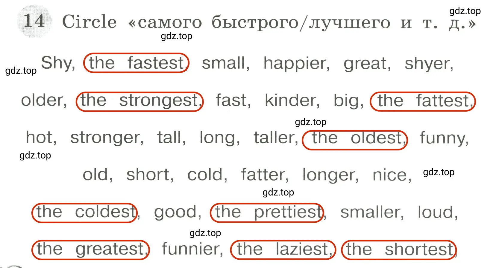 Решение 3. номер 14 (страница 106) гдз по английскому языку 4 класс Юшина, грамматический тренажёр