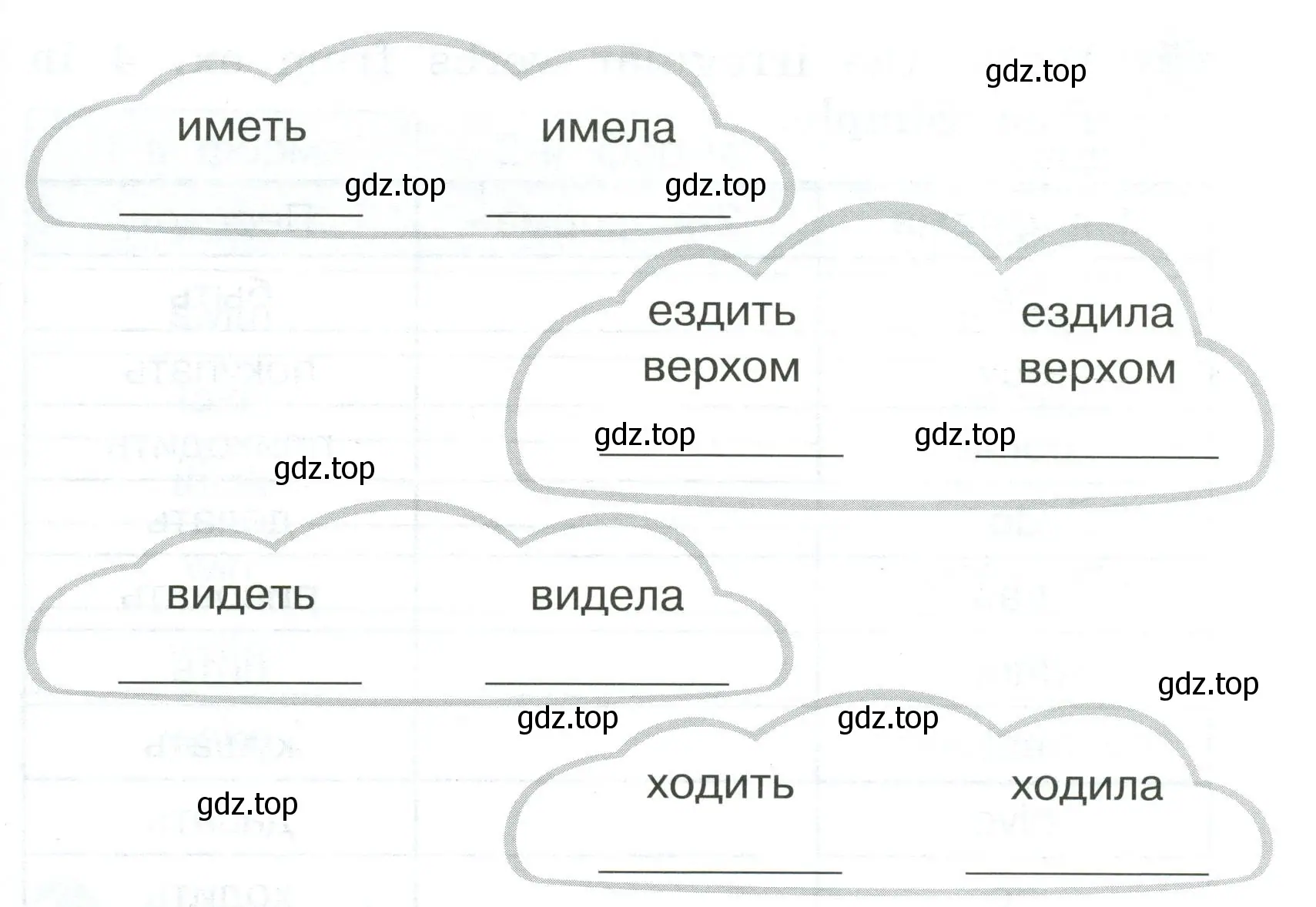 Translate the verbs