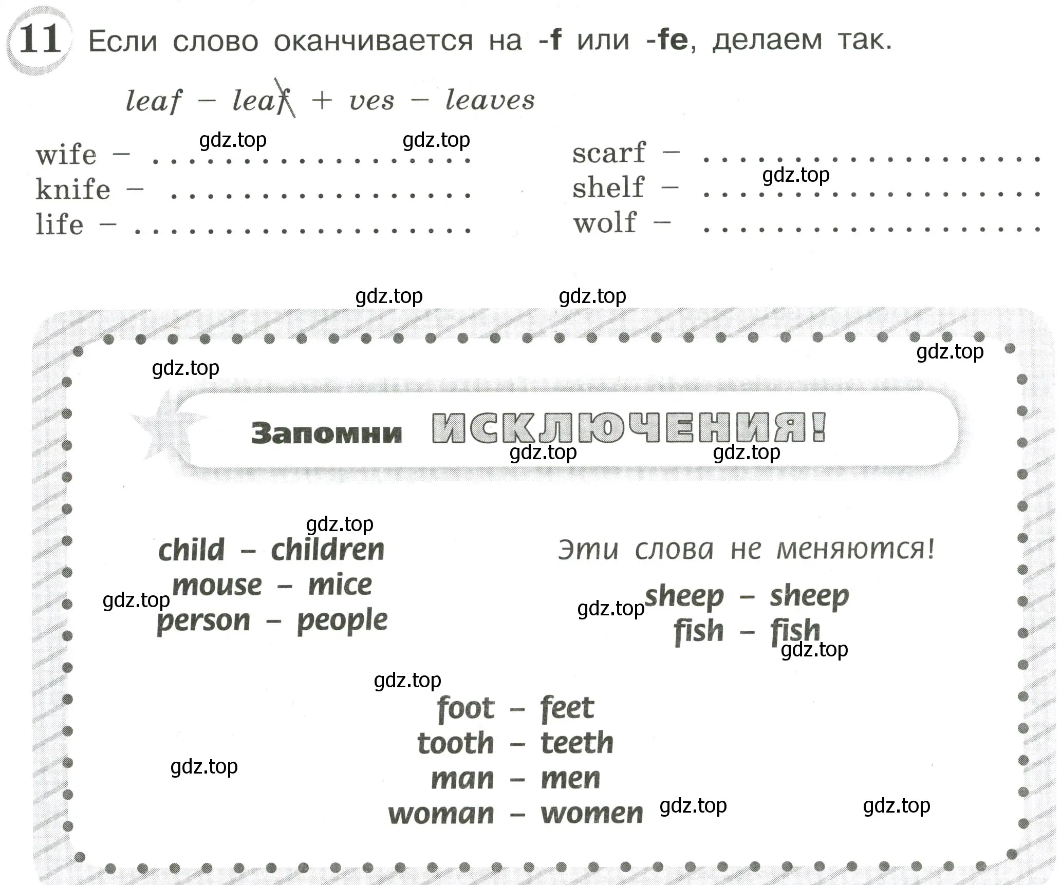 Условие номер 11 (страница 21) гдз по английскому языку 4 класс Рязанцева, сборник грамматических упражнений