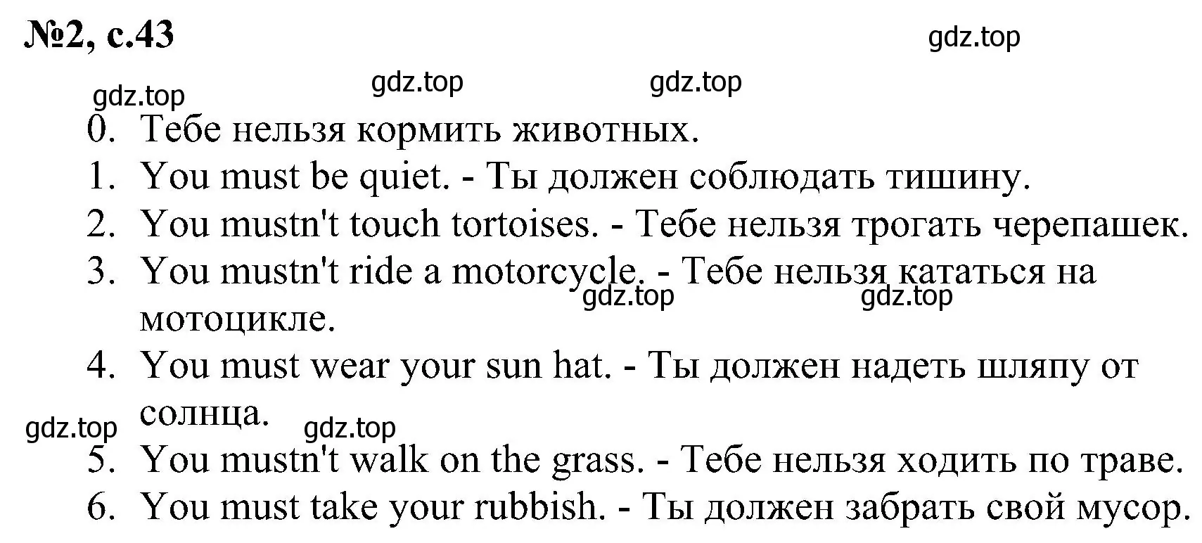 Решение номер 2 (страница 43) гдз по английскому языку 4 класс Рязанцева, сборник грамматических упражнений