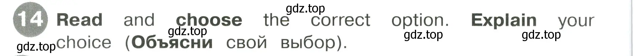 Условие номер 14 (страница 14) гдз по английскому языку 4 класс Котова, сборник упражнений